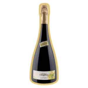William Saintot - La Côte de Chignon 1er Cru Millésime 2018 Extra Brut
